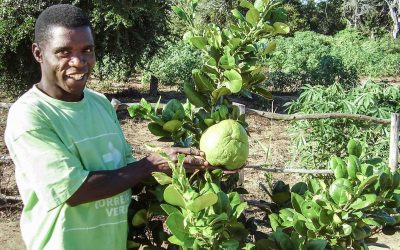 “Aprendi coisas que estavam acima das minhas capacidades”