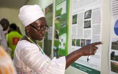 O futuro da Horticultura em debate na Guiné-Bissau
