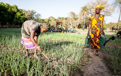 Desenvolvimento rural: Um desafio para todos