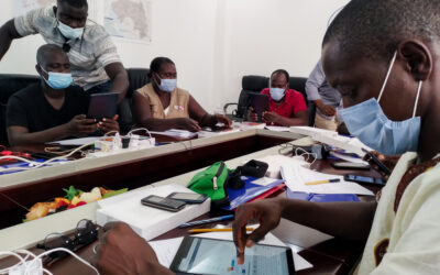 Call Center COVID-19 na Guiné-Bissau: Formação em DHIS2