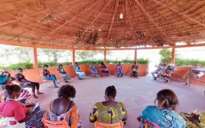 Formação em agroecologia beneficia mulheres horticultoras-vendedoras na Guiné-Bissau