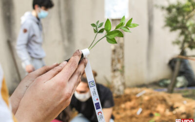 FCULresta: nasceu uma minifloresta na cidade de Lisboa