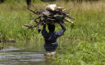 VIDA junta-se ao apelo por uma transição climática justa e inclusiva junto da Presidência Portuguesa do Conselho Europeu