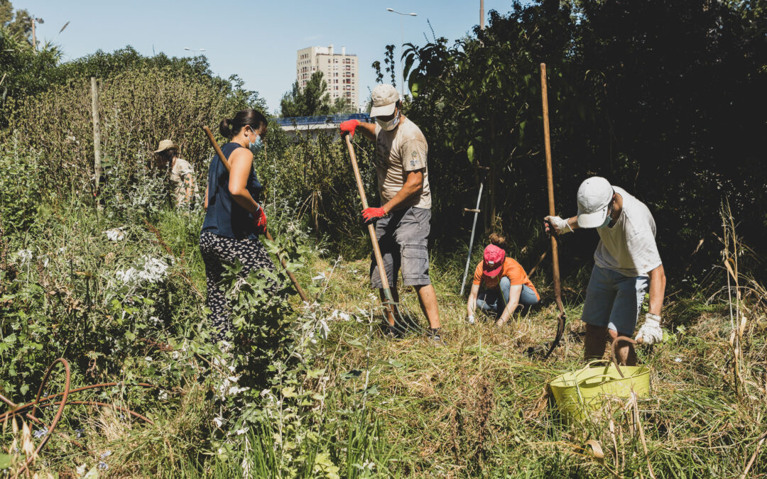 (Português) Permacare – Workshop de Introdução à Permacultura Urbana