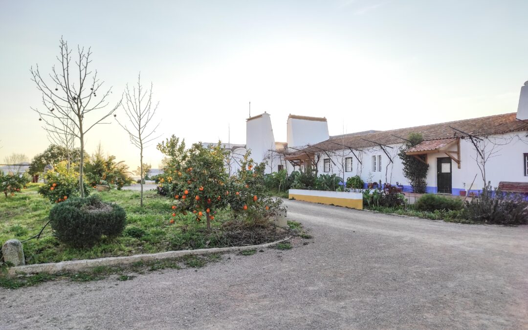 Visita ao Montado do Freixo do Meio